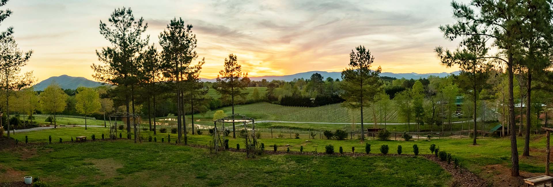 Parker Binns Vineyard Banner